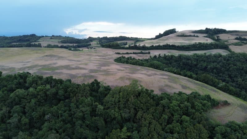 Foto 2 de 30: Terreno em leilão em Carlos Gomes - RS — LOTE 001 Imóvel