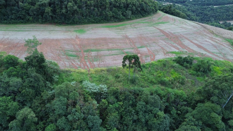 Foto 3 de 30: Terreno em leilão em Carlos Gomes - RS — LOTE 001 Imóvel