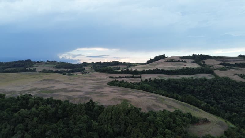 Foto 4 de 30: Terreno em leilão em Carlos Gomes - RS — LOTE 001 Imóvel