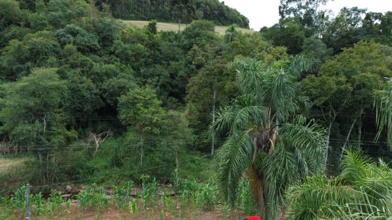 Foto 5 de 30: Terreno em leilão em Carlos Gomes - RS — LOTE 001 Imóvel