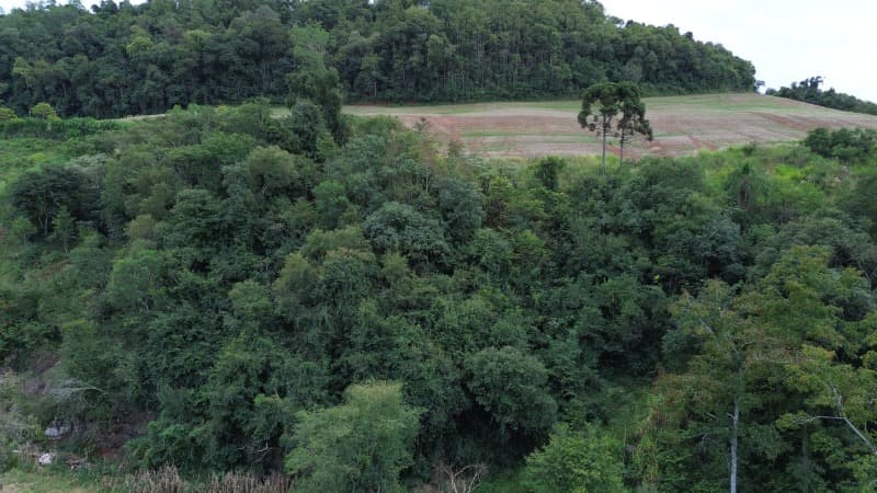 Foto 6 de 30: Terreno em leilão em Carlos Gomes - RS — LOTE 001 Imóvel