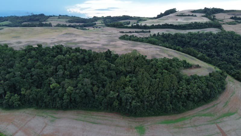 Foto 8 de 30: Terreno em leilão em Carlos Gomes - RS — LOTE 001 Imóvel