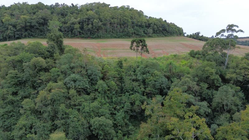 Foto 9 de 30: Terreno em leilão em Carlos Gomes - RS — LOTE 001 Imóvel