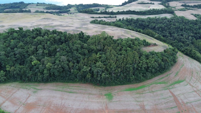 Foto 10 de 30: Terreno em leilão em Carlos Gomes - RS — LOTE 001 Imóvel
