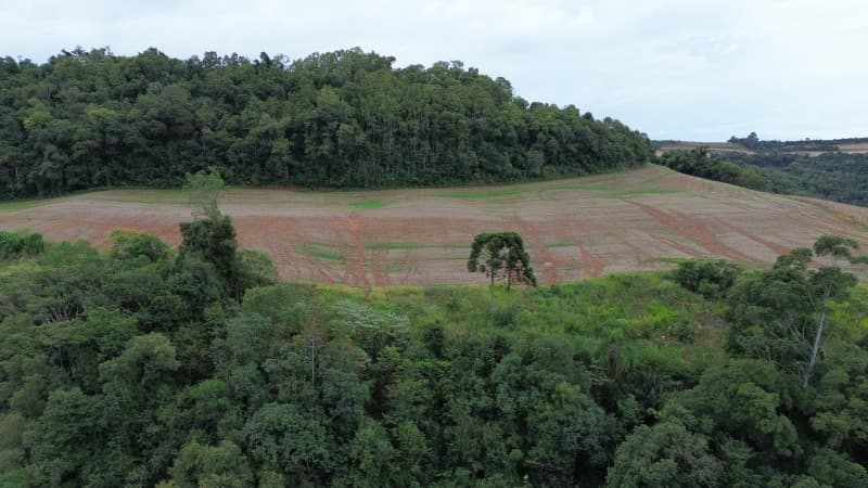 Foto 11 de 30: Terreno em leilão em Carlos Gomes - RS — LOTE 001 Imóvel