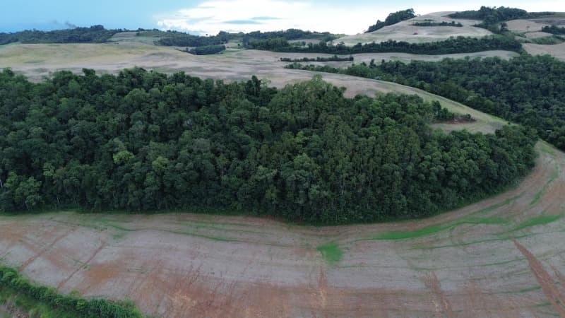 Foto 12 de 30: Terreno em leilão em Carlos Gomes - RS — LOTE 001 Imóvel