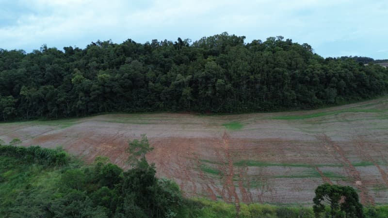 Foto 13 de 30: Terreno em leilão em Carlos Gomes - RS — LOTE 001 Imóvel