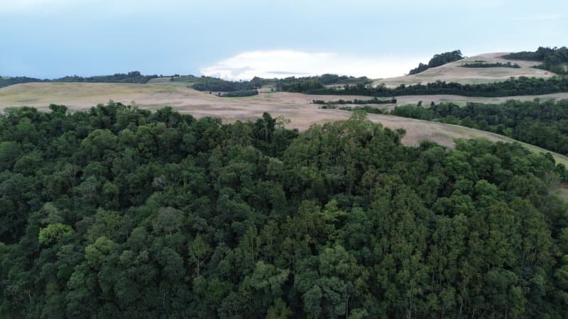 Foto 14 de 30: Terreno em leilão em Carlos Gomes - RS — LOTE 001 Imóvel