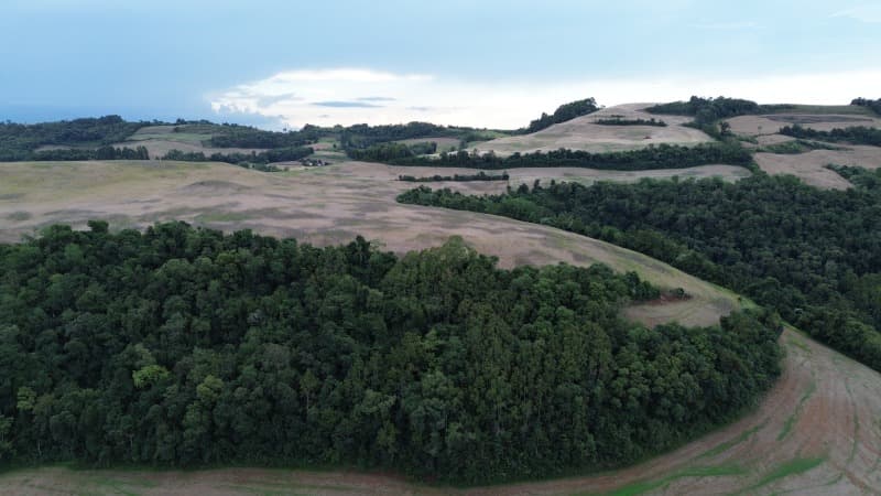 Foto 15 de 30: Terreno em leilão em Carlos Gomes - RS — LOTE 001 Imóvel