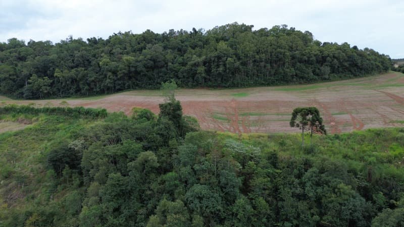 Foto 17 de 30: Terreno em leilão em Carlos Gomes - RS — LOTE 001 Imóvel