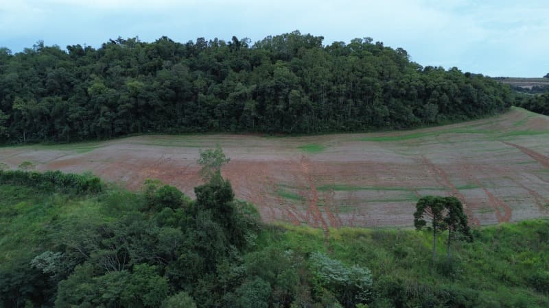 Foto 18 de 30: Terreno em leilão em Carlos Gomes - RS — LOTE 001 Imóvel