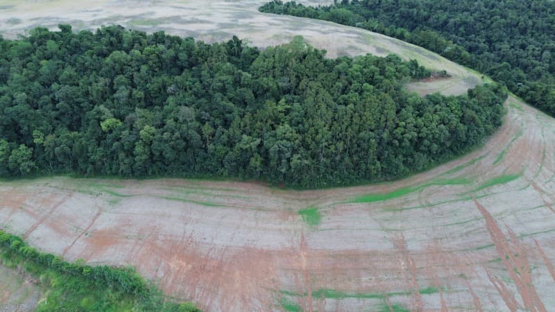 Foto 19 de 30: Terreno em leilão em Carlos Gomes - RS — LOTE 001 Imóvel