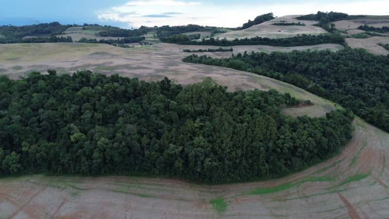 Foto 20 de 30: Terreno em leilão em Carlos Gomes - RS — LOTE 001 Imóvel