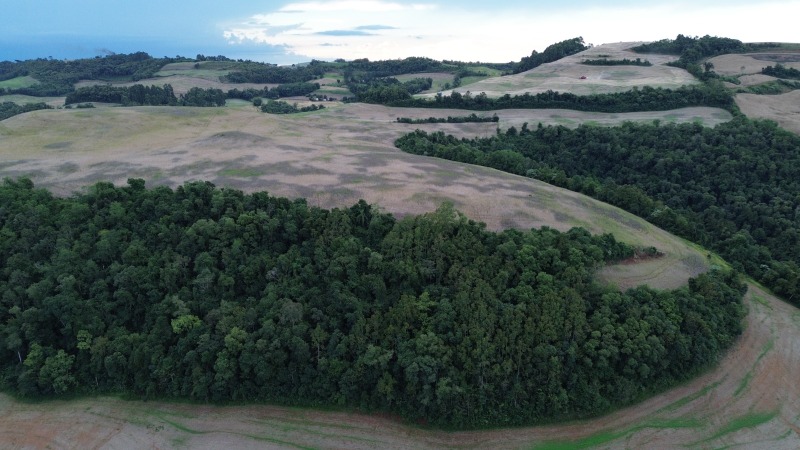 Foto 21 de 30: Terreno em leilão em Carlos Gomes - RS — LOTE 001 Imóvel