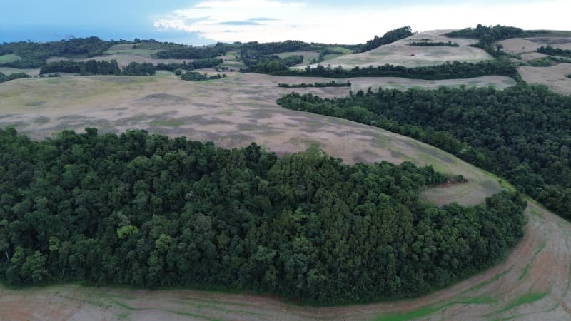Foto 22 de 30: Terreno em leilão em Carlos Gomes - RS — LOTE 001 Imóvel