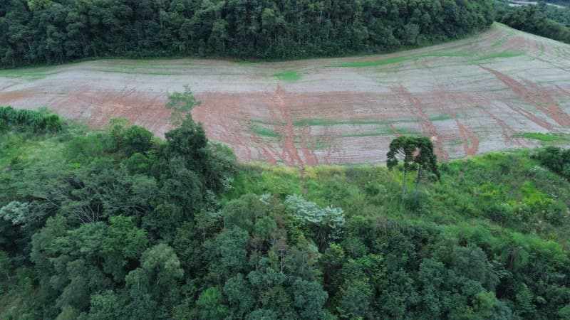 Foto 24 de 30: Terreno em leilão em Carlos Gomes - RS — LOTE 001 Imóvel