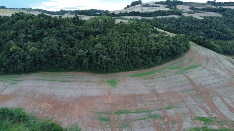 Foto 25 de 30: Terreno em leilão em Carlos Gomes - RS — LOTE 001 Imóvel