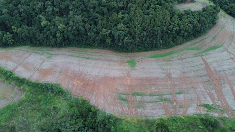 Foto 26 de 30: Terreno em leilão em Carlos Gomes - RS — LOTE 001 Imóvel