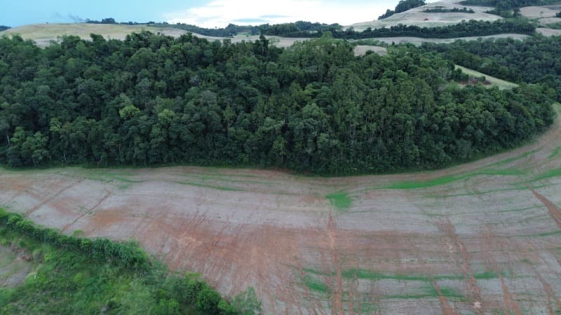 Foto 27 de 30: Terreno em leilão em Carlos Gomes - RS — LOTE 001 Imóvel