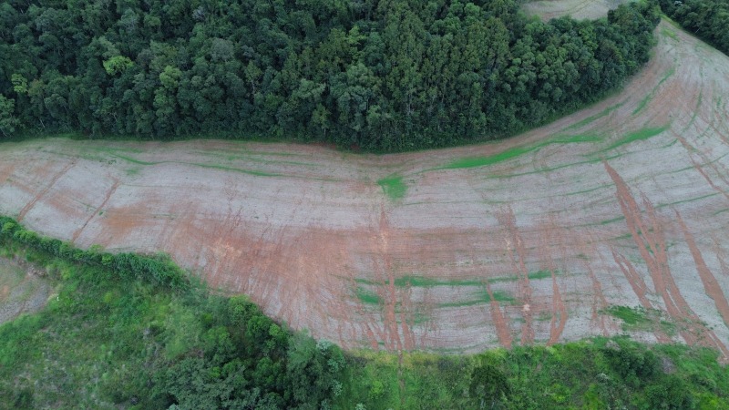 Foto 28 de 30: Terreno em leilão em Carlos Gomes - RS — LOTE 001 Imóvel