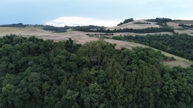 Foto 29 de 30: Terreno em leilão em Carlos Gomes - RS — LOTE 001 Imóvel