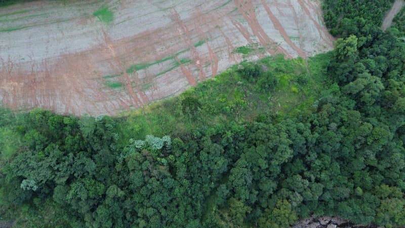 Foto 30 de 30: Terreno em leilão em Carlos Gomes - RS — LOTE 001 Imóvel