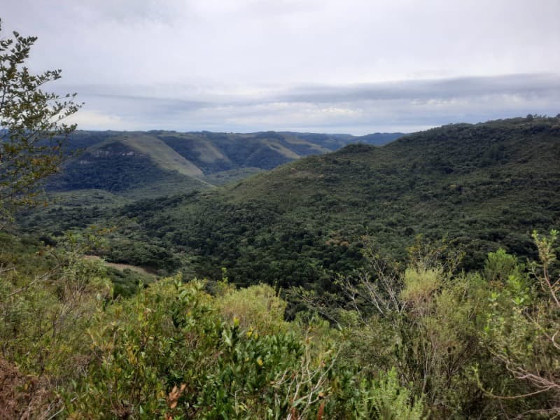 Foto 3 de 9: Terreno em leilão em Monte Alegre Dos Campos - RS — LOTE 006 Imóvel