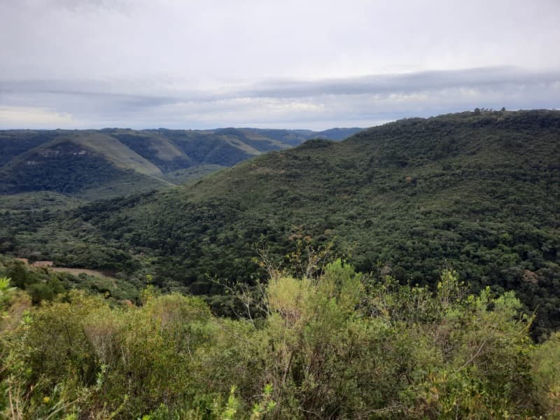 Foto 4 de 9: Terreno em leilão em Monte Alegre Dos Campos - RS — LOTE 006 Imóvel