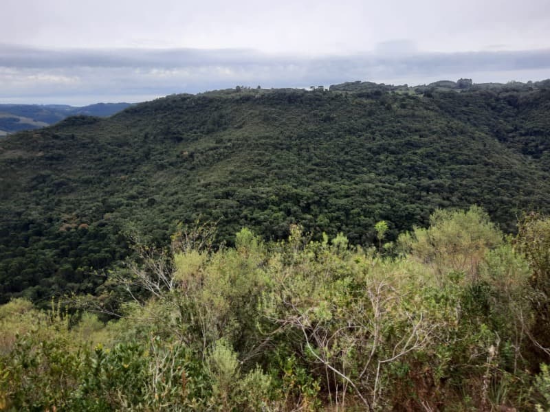 Foto 7 de 9: Terreno em leilão em Monte Alegre Dos Campos - RS — LOTE 006 Imóvel
