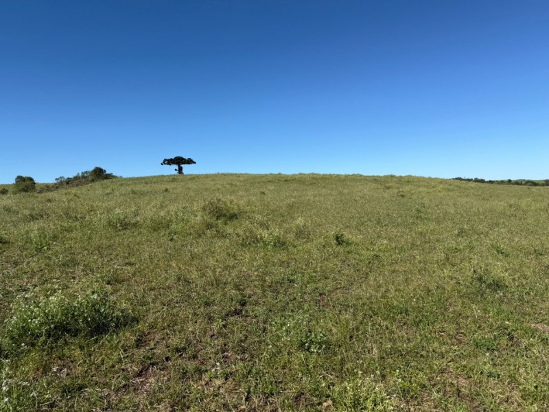 Foto 5 de 15: Terreno em leilão em Soledade - RS — LOTE 008 Imóvel