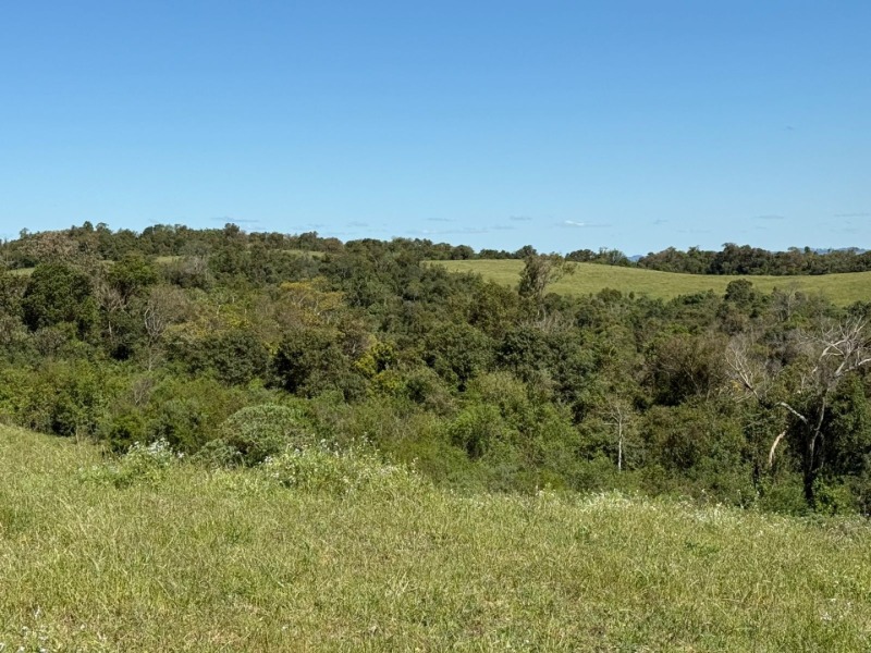 Foto 2 de 15: Terreno em leilão em Soledade - RS — LOTE 008 Imóvel