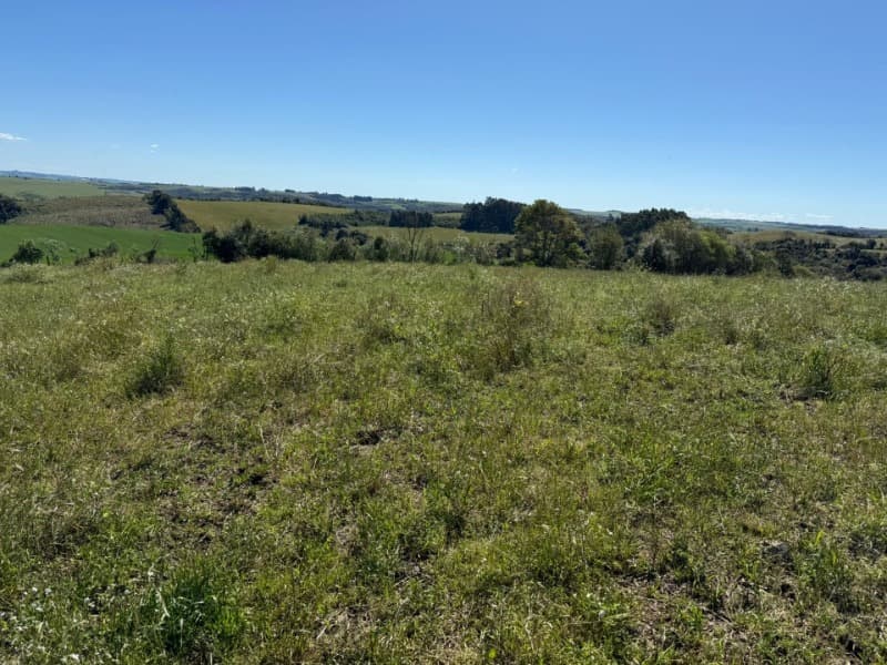 Foto 1 de 15: Terreno em leilão em Soledade - RS — LOTE 008 Imóvel