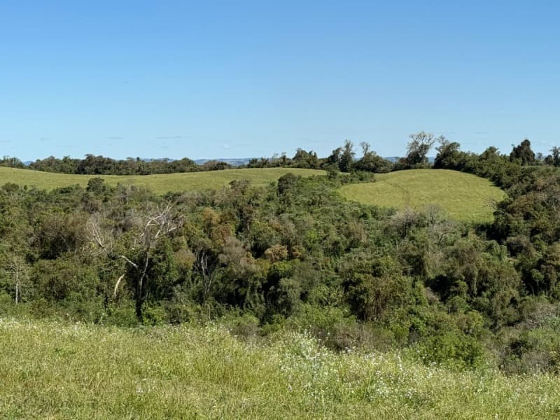 Foto 6 de 15: Terreno em leilão em Soledade - RS — LOTE 008 Imóvel