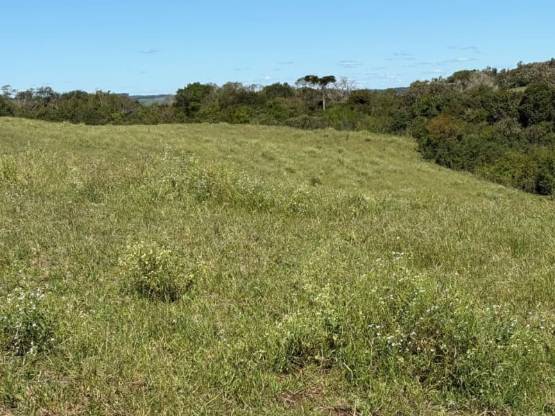 Foto 14 de 15: Terreno em leilão em Soledade - RS — LOTE 008 Imóvel