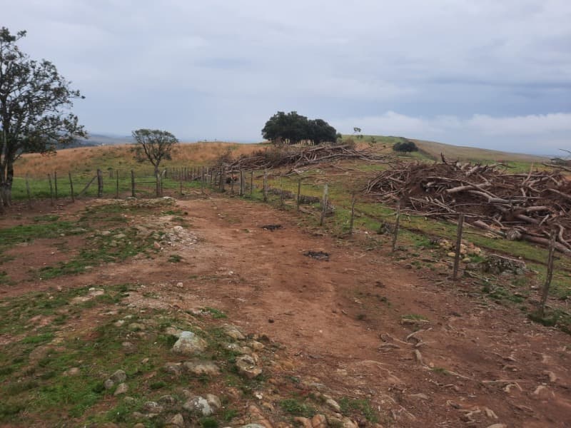 Foto 5 de 5: Area Rural em leilão em Soledade - RS — LOTE 001 Imóvel
