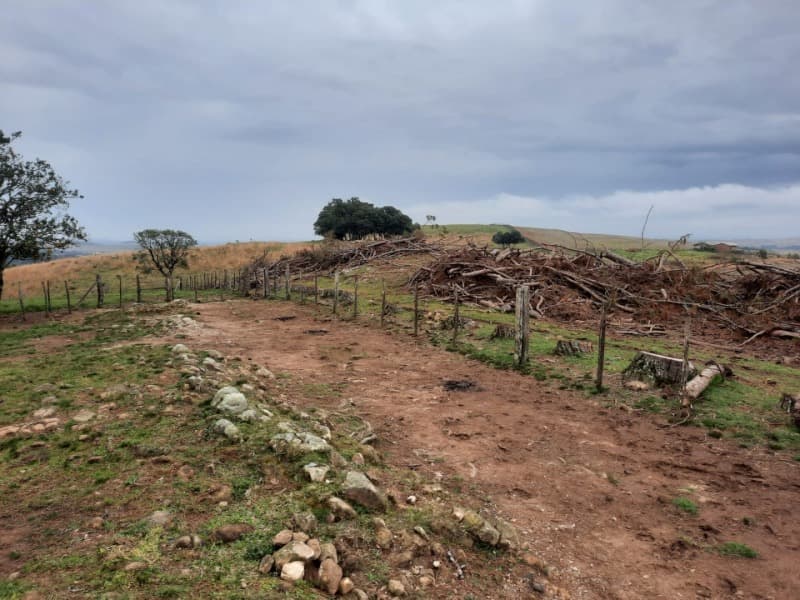 Foto 4 de 5: Area Rural em leilão em Soledade - RS — LOTE 001 Imóvel