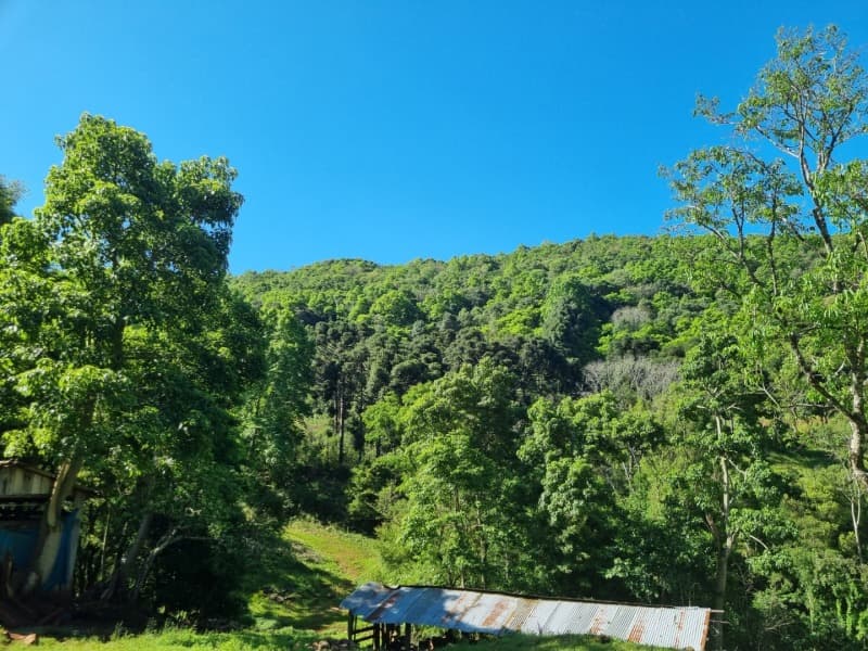 Foto 6 de 6: Terreno em leilão em Floriano Peixoto - RS — LOTE 001 Imóvel