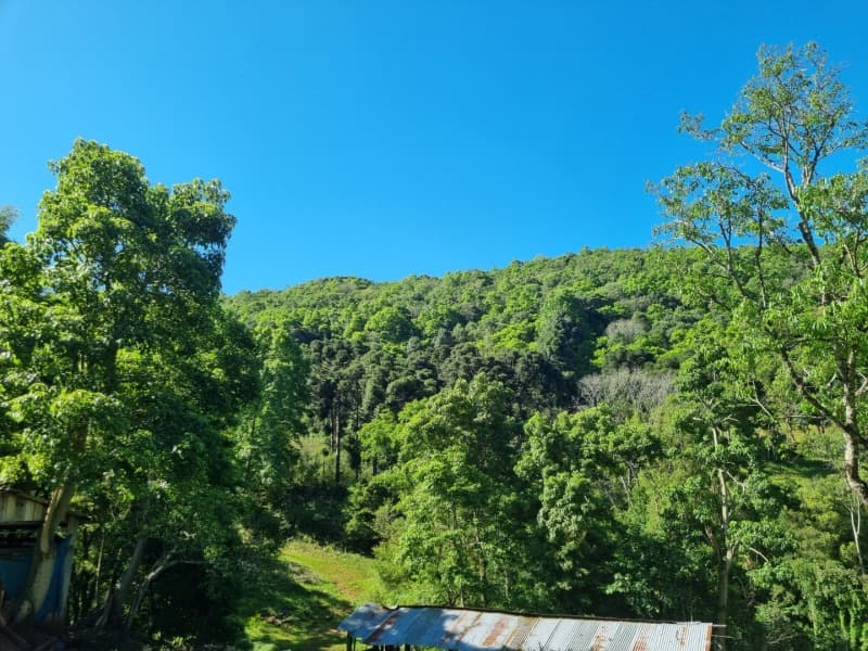 Foto 2 de 6: Terreno em leilão em Floriano Peixoto - RS — LOTE 001 Imóvel
