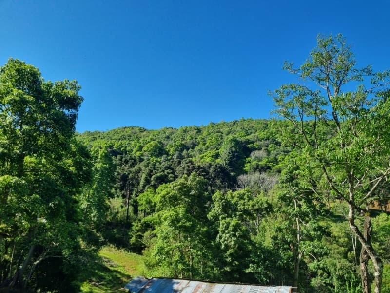Foto 4 de 6: Terreno em leilão em Floriano Peixoto - RS — LOTE 001 Imóvel