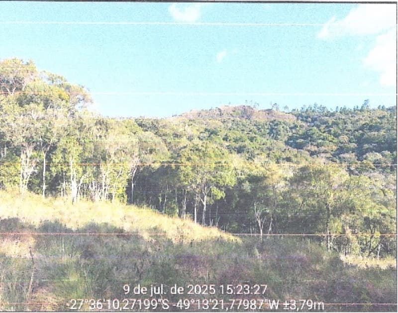 Foto 2 de 14: Area Rural em leilão em Angelina - SC — LOTE 002 Imóvel