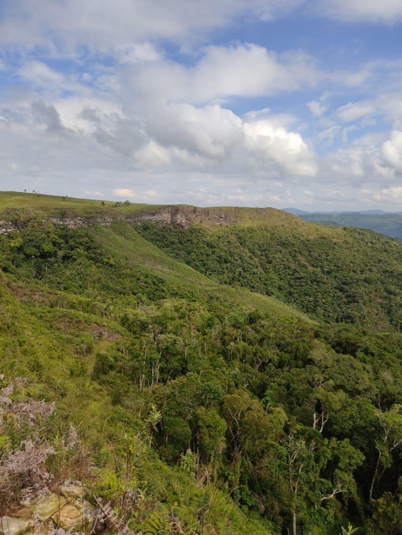 Foto 1 de 14: Area Rural em leilão em Angelina - SC — LOTE 002 Imóvel