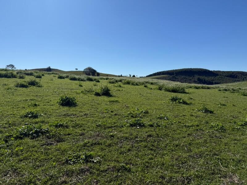 Foto 4 de 20: Terreno em leilão em Soledade - RS — LOTE 006 imóvel