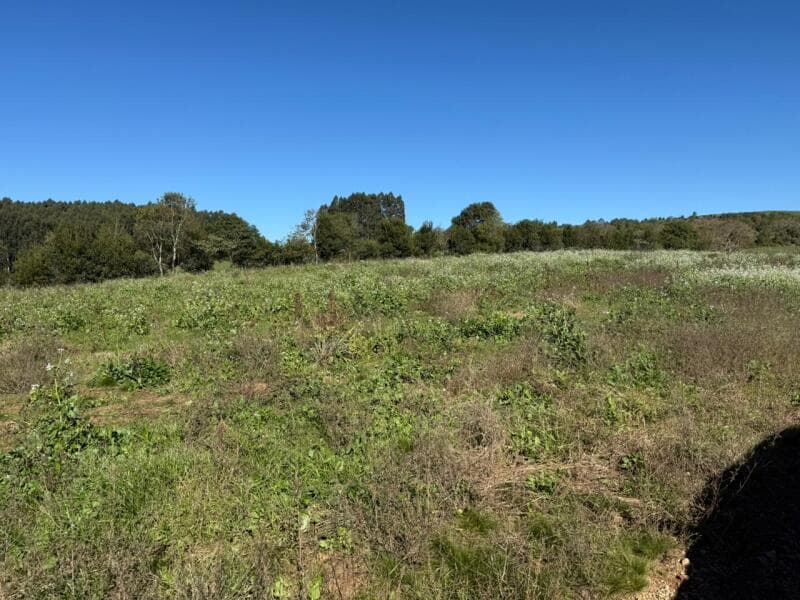 Foto 6 de 20: Terreno em leilão em Soledade - RS — LOTE 006 imóvel