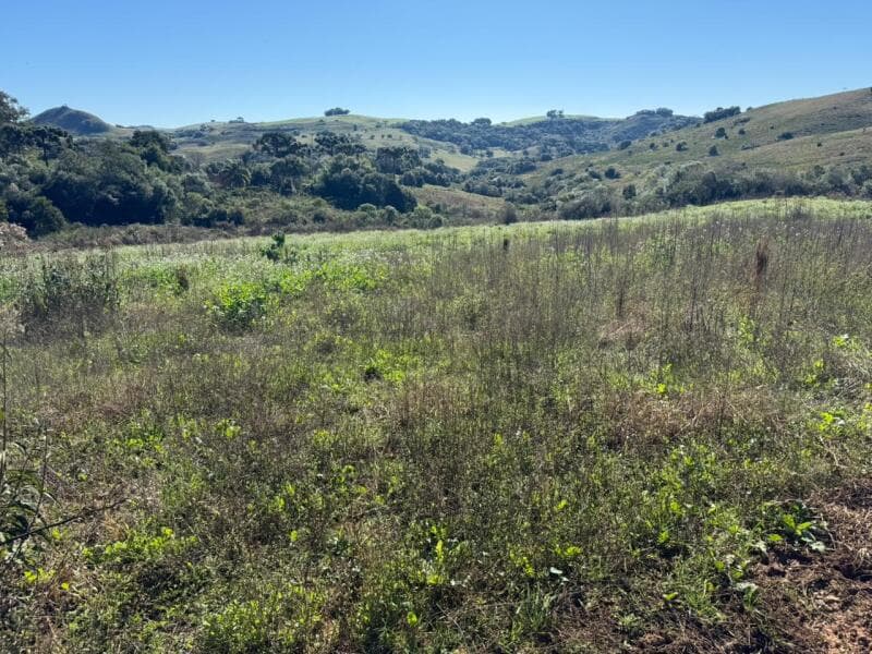 Foto 10 de 20: Terreno em leilão em Soledade - RS — LOTE 006 imóvel