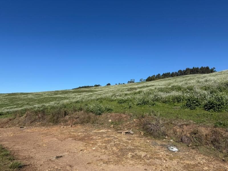 Foto 16 de 20: Terreno em leilão em Soledade - RS — LOTE 006 imóvel