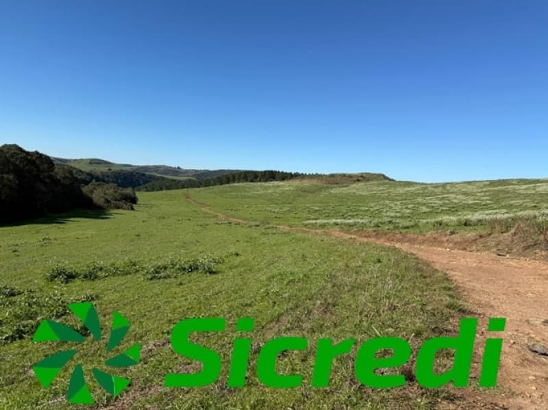 Foto 17 de 20: Terreno em leilão em Soledade - RS — LOTE 006 imóvel