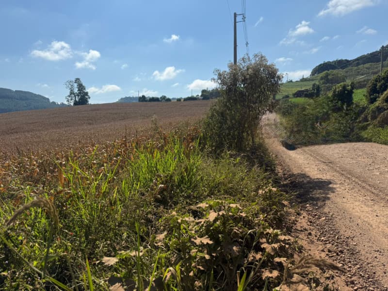 Foto 2 de 15: Terreno em leilão em Serafina Corrêa - RS — LOTE 007 Imóvel