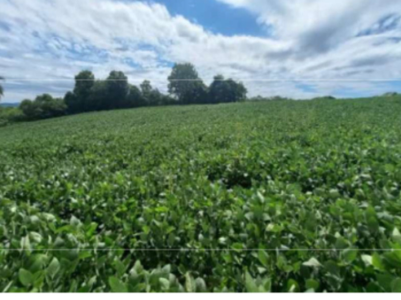 Terreno em leilão em Camargo - RS — LOTE 011 Imóvel