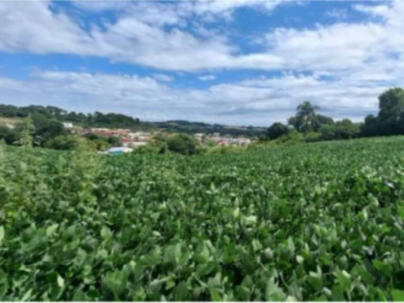 Terreno em leilão em Camargo - RS — LOTE 001 Imóvel