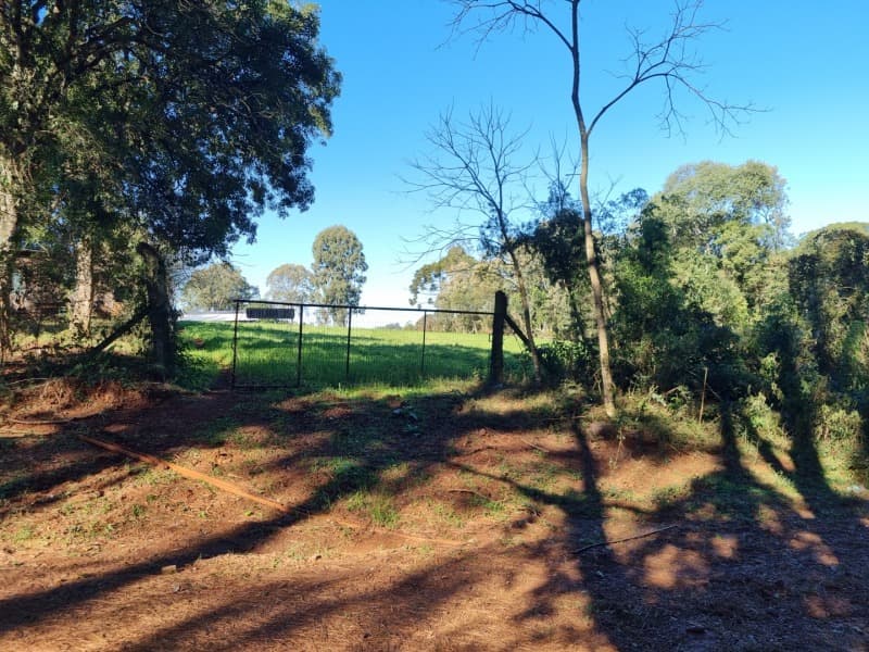 Foto 8 de 19: Terreno em leilão em Erechim - RS, bairro Paiol Grande — LOTE 001 Imovel